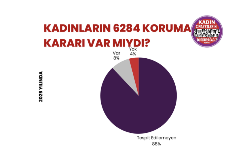 2025'te en az 294 kadın erkekler tarafından katledildi, şüpheli kadın ölümleri ilk kez kadın cinayetlerinin önüne geçti 3